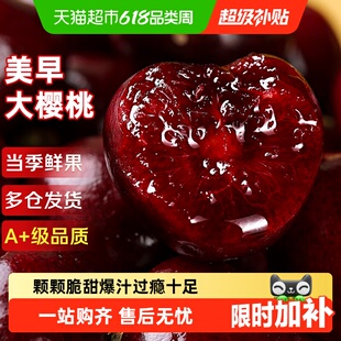国产美早大樱桃新鲜水果应当季国产车厘子345J整箱孕妇斤