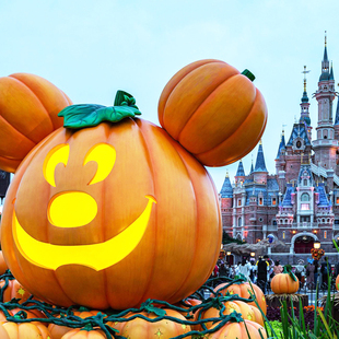 [上海迪士尼度假区-1日票]上海迪士尼成人门票刷身份证入园