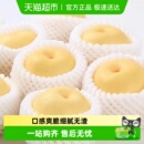果园密码 山西正宗御前贡梨新鲜水果香梨酥脆梨