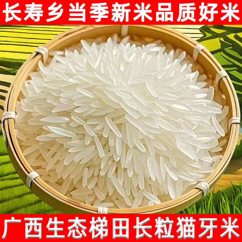 梯田生态猫牙米长粒香米农家生态丝苗米广西寿乡大米晚稻新米新米,粮油调味/速食/干货/烘焙,大米,淘宝优惠券,粉丝福利购,淘宝优惠卷