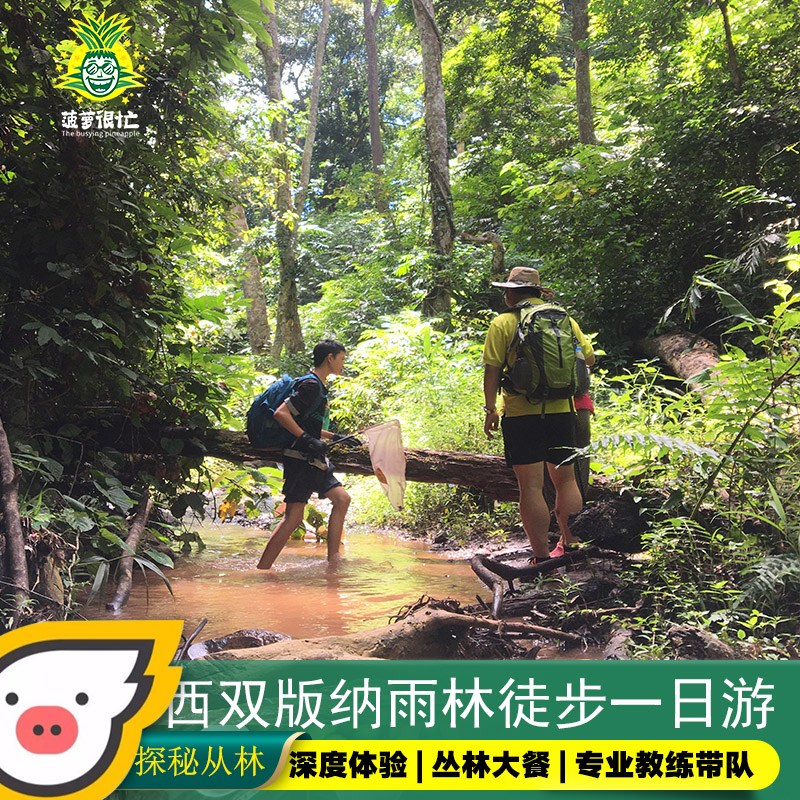 Yunnan Travel? Xishuangbanna Keno Hill Rainforest on foot one-day tour Pass through Rainforest Tuanyouin the Holiday Line/Visas send off/Travel services , Visit/Tuanyou , Domestic travel with the group  category - from Buy2taobao.com to provide professional Taobao agent buy service