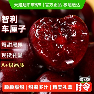 智利进口车厘子新鲜水果礼盒应当季大樱桃345J整箱现货立发年货斤