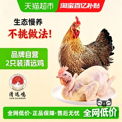 天农地标清远鸡长天龄慢养