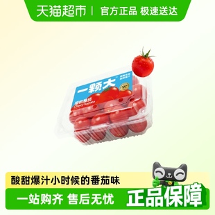 一颗大樱桃番茄458g*2盒