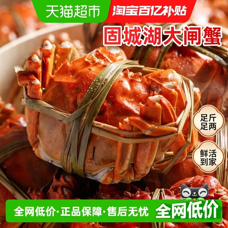 渔传播固城湖大闸蟹足重3.0全母螃蟹特大4.0公河蟹海鲜现货礼盒