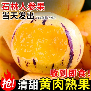 云南石林人參果新鮮水果當季 人生果娃娃 整箱樹上熟黃果圓果正品