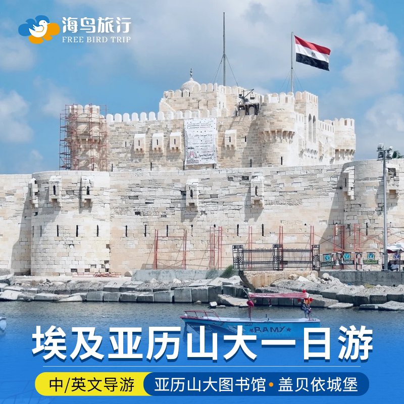 埃及旅游开罗亚历山大一日游庞贝柱蒙塔扎宫盖贝依城堡中文包车