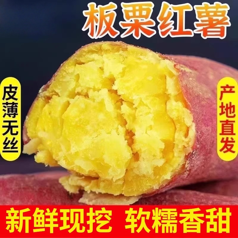 新鲜蜜薯3/5/9斤板栗红薯沙地糖心地瓜农家番薯现挖板栗薯山芋