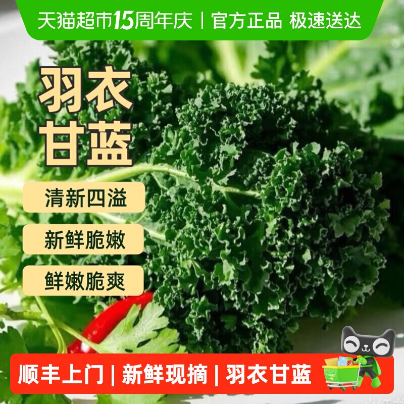 顺丰上门新鲜现摘羽衣甘蓝嫩叶kale健身减榨汁西餐食材脂蔬菜沙拉