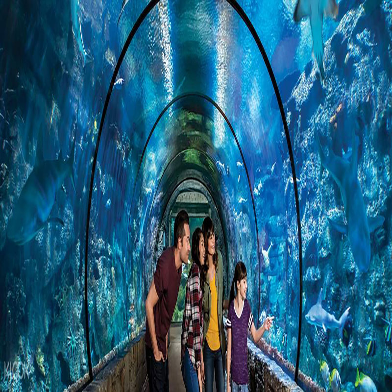 [曼德勒湾鲨鱼礁水族馆-大门票]拉斯维加斯鲨鱼礁水族馆门票