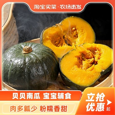 贝贝南瓜宝宝辅食粉糯香甜饱腹板栗味代餐粗粮产地 发