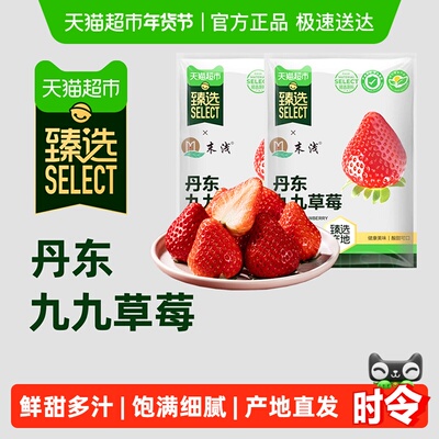 末浅臻选丹东99草莓