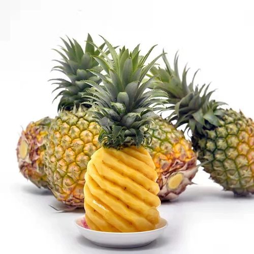广东徐闻香水菠萝当季新鲜香甜水果非海南金钻凤梨整箱多规格