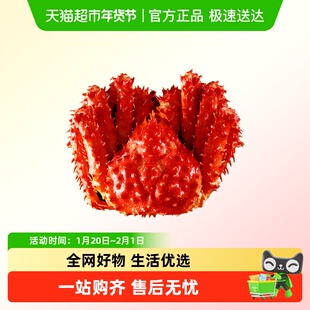 新鲜帝王蟹熟冻智利进口特大鲜活大螃蟹冰鲜皇帝蟹帝皇蟹礼盒送礼