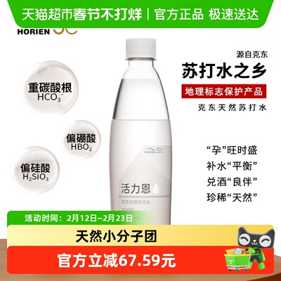 HORIEN活力恩苏打水500ML*15瓶*2