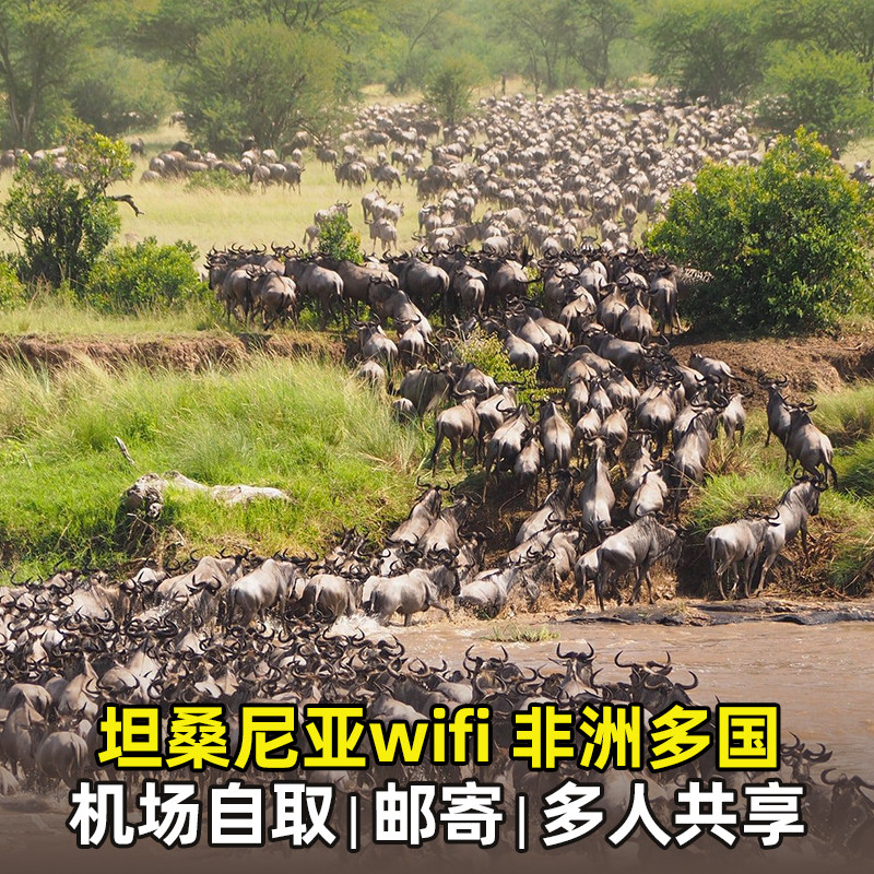 坦桑尼亚WiFi租赁移动随身蛋出国全球非洲上网流量4G机场自取,度假线路/签证送关/旅游服务,境外随身WIFI租赁,淘宝优惠券,粉丝福利购,淘宝优惠卷