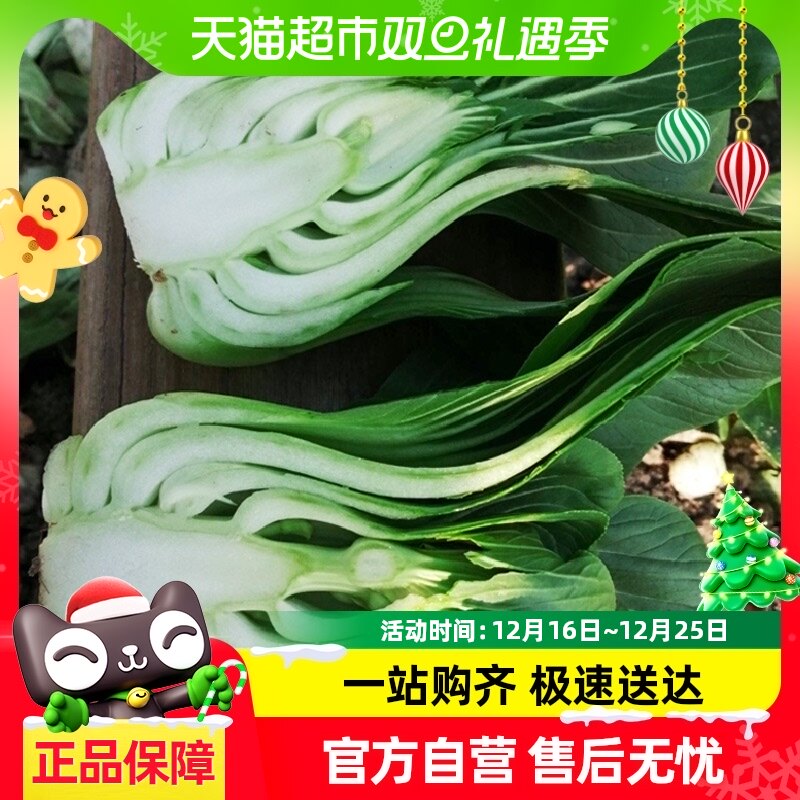 �ٺ̰�������������30g�����߲��ݺ�Ҷ��������߲����๣�Ϻ���