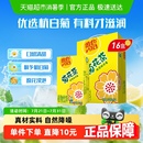 聚餐饮品 新老包装 随机发货 维他菊花茶饮料甄选杭白菊礼盒装
