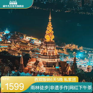 云南旅游西双版 纳6天5晚私家团野象谷曼掌村基诺山雨林徒步