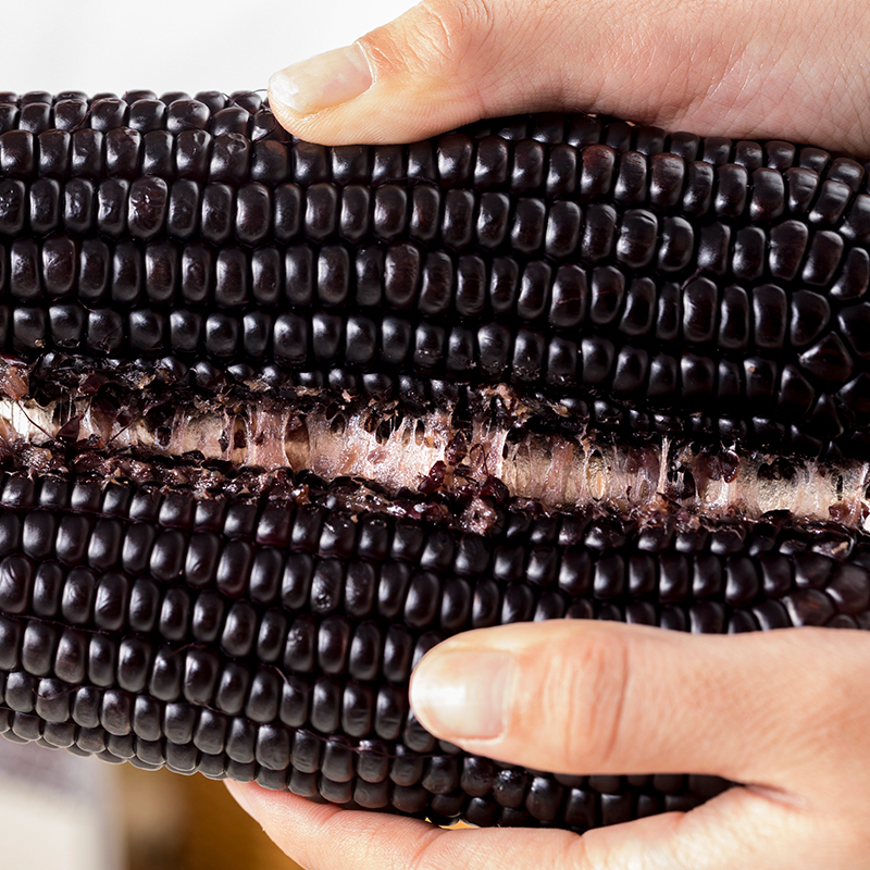 黑糯玉米山西忻州糯玉米真空装玉米花青素代餐粗粮主食