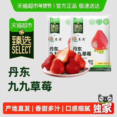 臻选末浅丹东红颜九九草莓
