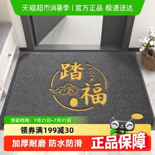 地垫入户门垫进门门口丝圈脚垫家用室外蹭土垫子玄关地毯 2025新款