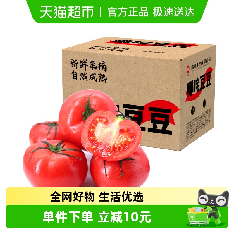 哪咤豆豆新鲜沙瓤西红柿