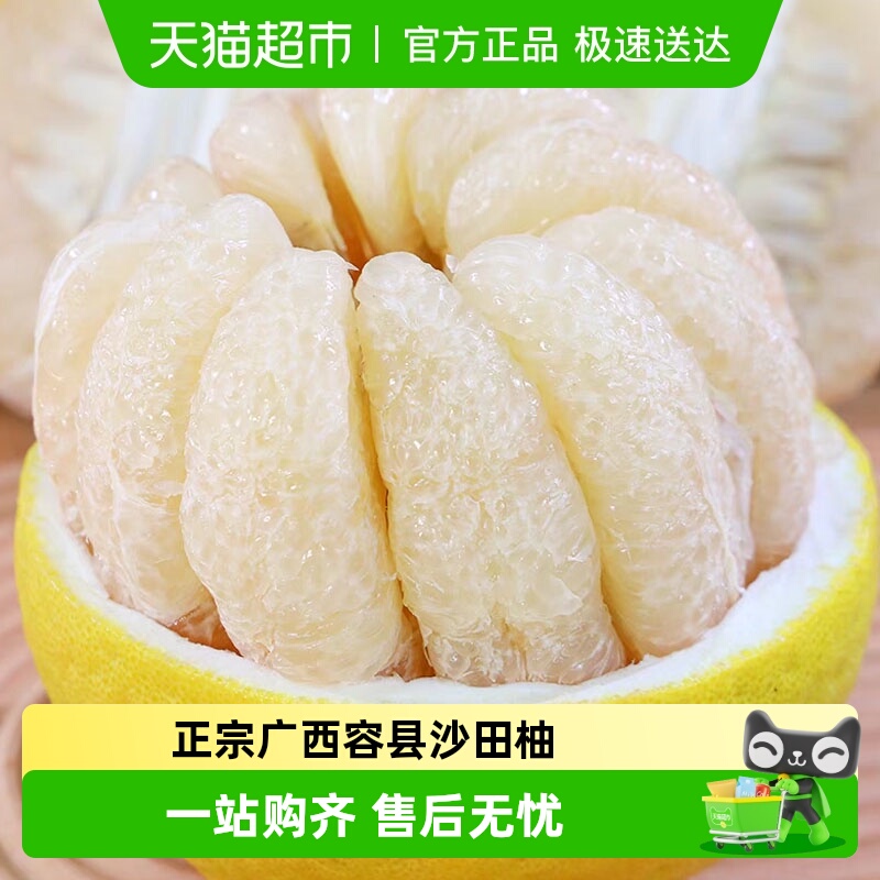 胡鲜森食品广西容县沙田柚子