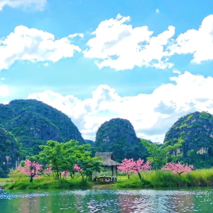 三生三世 云南旅游 青龙山 西荒湿地一日游 文山普者黑 仙人洞村