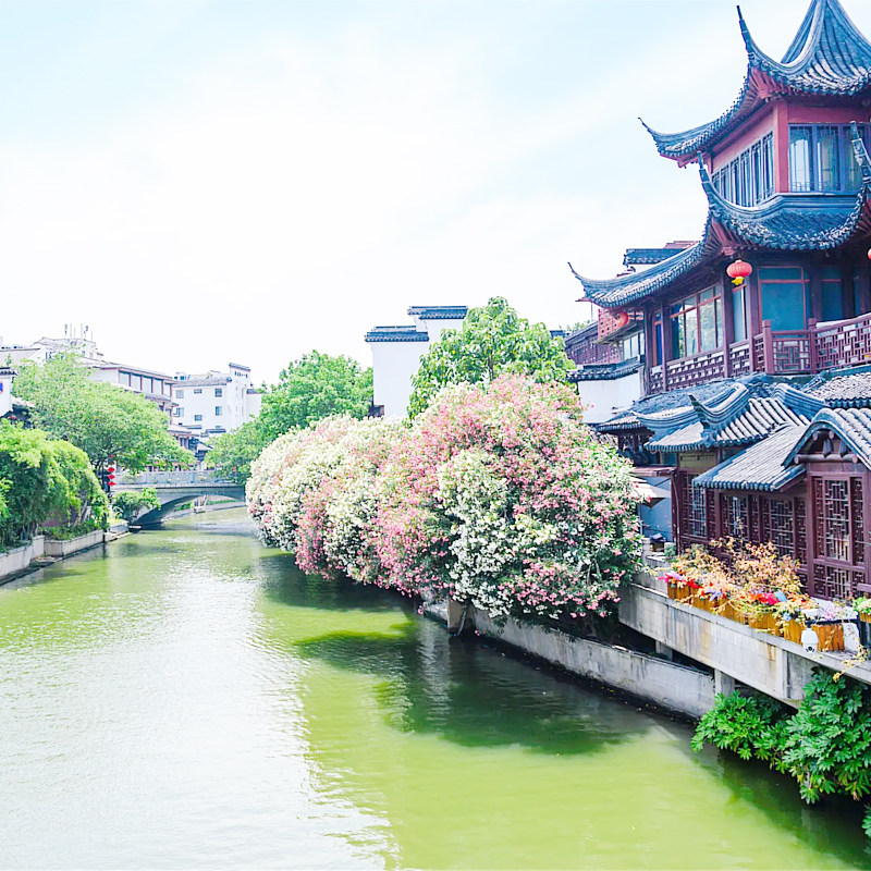 南京2二日跟团旅游 南京博物院中山陵总统府夫子庙无购物天天发班
