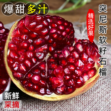 突尼斯软籽石榴新鲜水果非礼盒当季现摘整箱四川会理无籽石榴