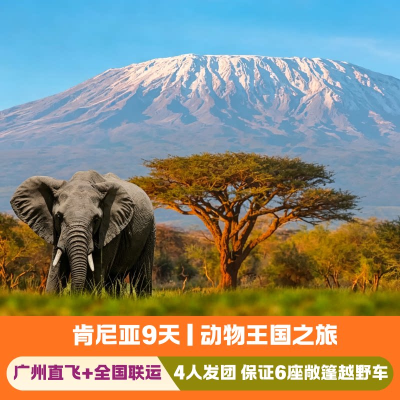 肯尼亚10天大迁徙季