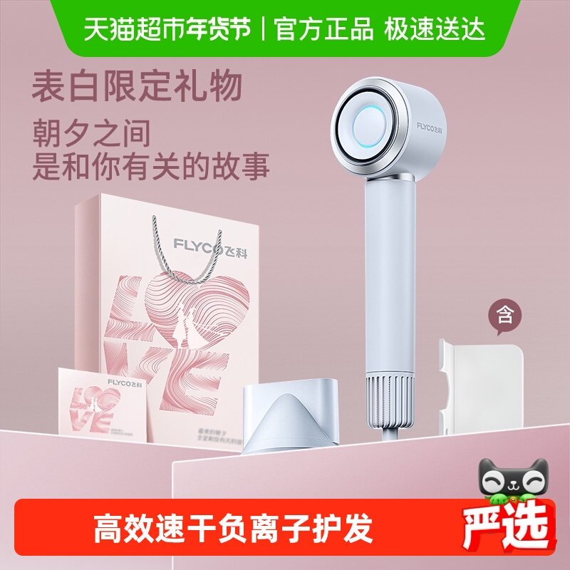 飞科高速吹风机家用负离子护发速干大风力电吹风筒新年礼物FH6371
