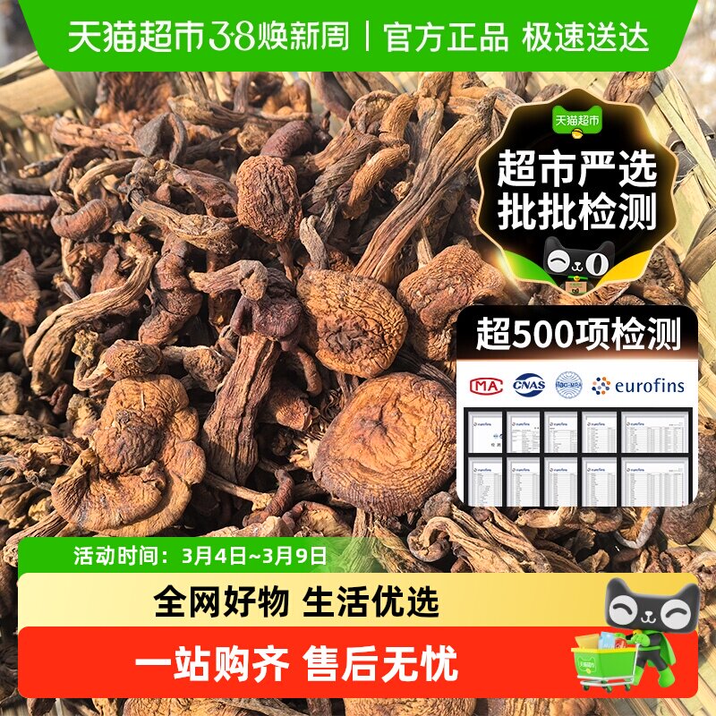 长白山特产级野生榛蘑东北小鸡炖蘑菇丁干货无根非新鲜