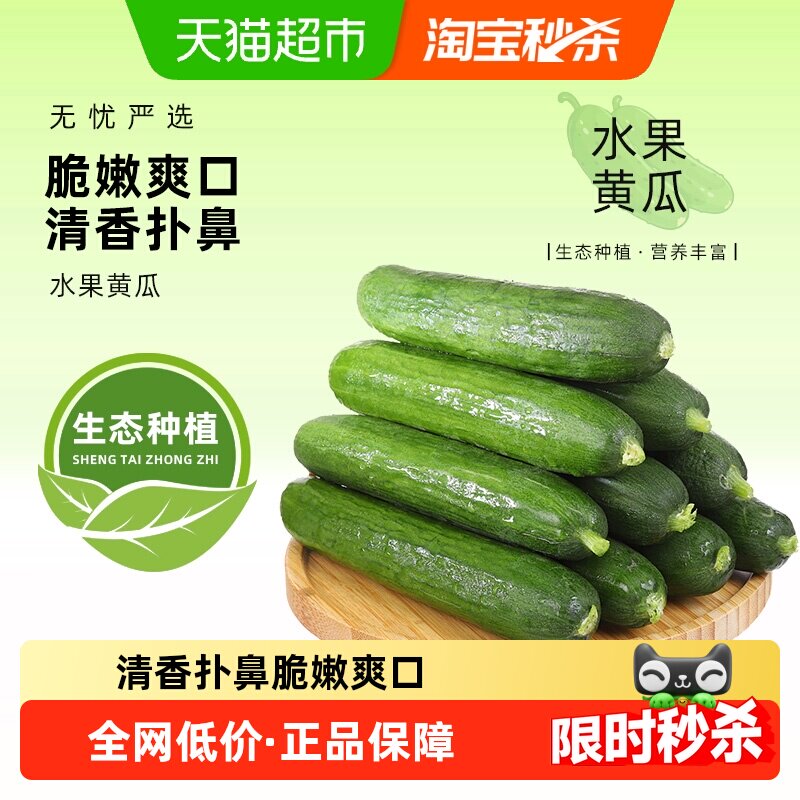 寿光蔬菜新鲜水果小黄瓜生吃无刺黄瓜青瓜清脆现摘