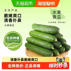 寿光蔬菜新鲜水果小黄瓜生吃无刺黄瓜青瓜清脆现摘