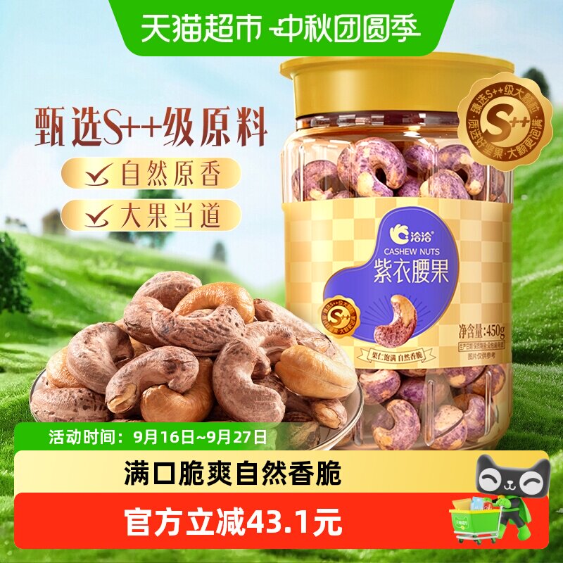 洽洽紫衣腰果450g恰恰带皮坚果干果仁罐装坚果炒货营养零食孕妇