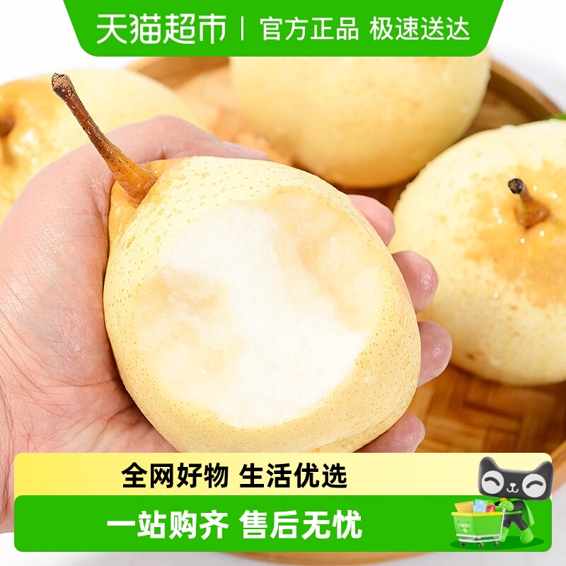 新鲜砀山酥梨梨子