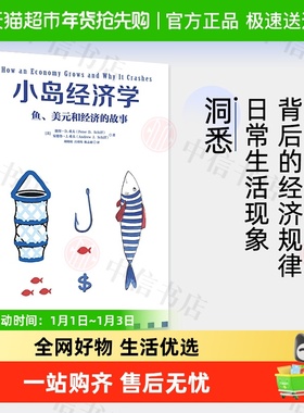 小岛经济学 彼得D希夫 安德鲁J希夫著 经济读物 经济学入门