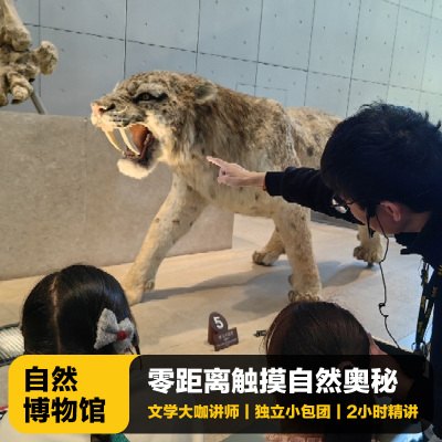 上海自然博物馆讲解一日游