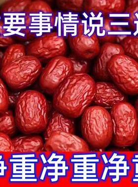 新疆大枣和田特级5斤骏枣大红枣非无核零食干果特产一级玉枣