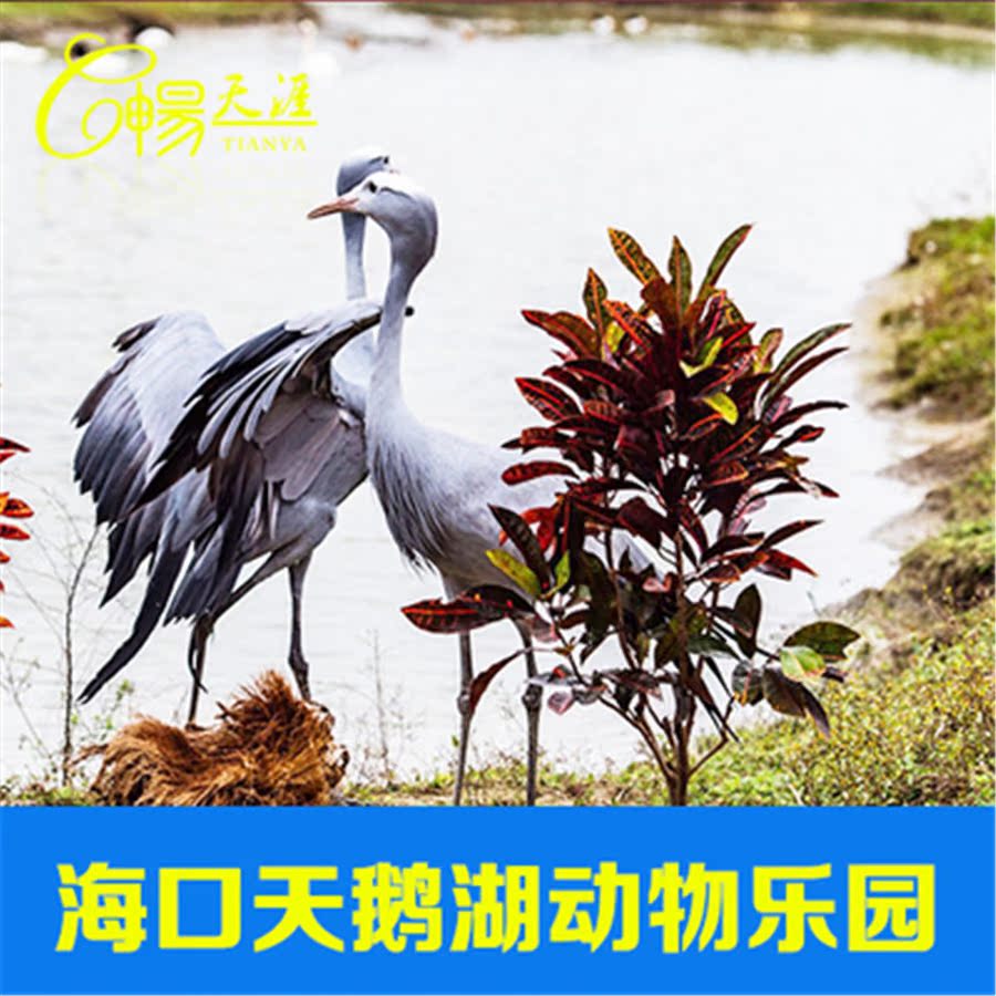 [海口天鹅湖动物基地-成人票（体验券）]海口天鹅湖动物乐园动物基地门票