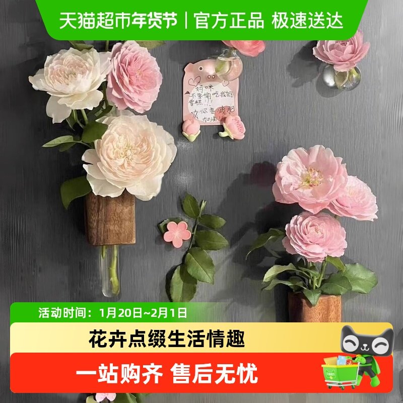冰箱贴插花器创意试管冰箱贴磁吸固定磁力贴水培植物花瓶创意礼品,节庆用品/礼品,文化创意冰箱贴,淘宝优惠券,粉丝福利购,淘宝优惠卷