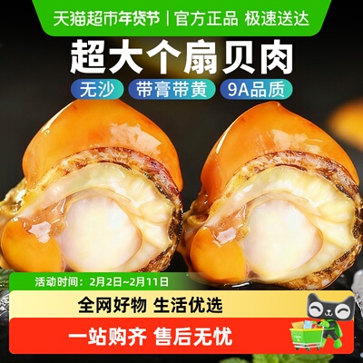 云储生活新鲜冷冻扇贝肉商用批发