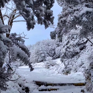 韩国济州汉拿山登山徒步3天2晚/琥珀璞山度假村市区酒店/全年适用