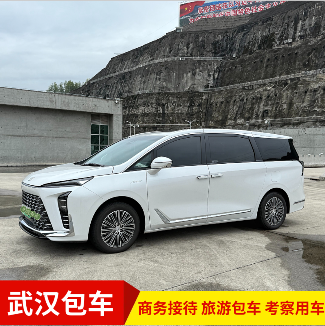 武汉包车游带司机商务包车别克GL8考斯特旅游大巴黄鹤楼等景点VIP,度假线路/签证送关/旅游服务,包车（按日包车/线路包车）,淘宝优惠券,粉丝福利购,淘宝优惠卷