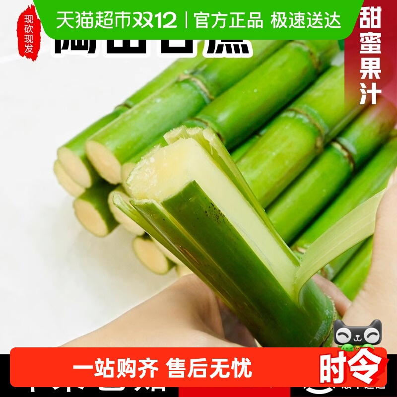 顺丰包邮陶山甘蔗绿皮青皮果皮薄