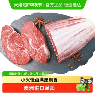 西捷澳洲进口安格斯原切牛腱子无添加金钱腱原味牛肉冷冻生鲜