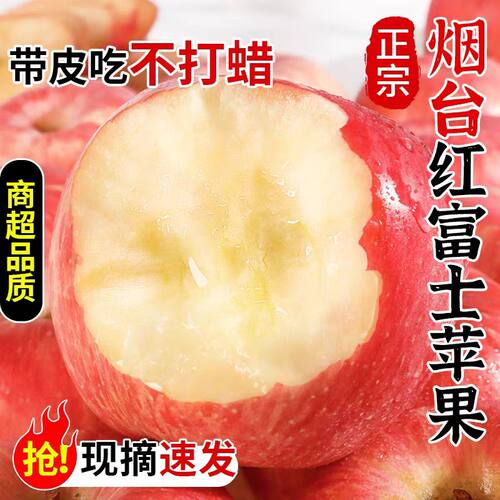 山东烟台红富士苹果新鲜水果当季整箱包邮脆甜正品栖霞富士苹果