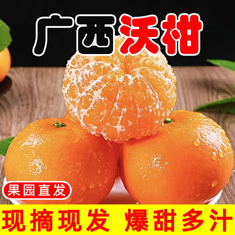 ���ڹ����ָ�������������ˮ��������ʵ���ũ��������������